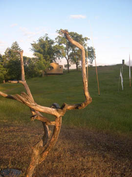 01throughtree