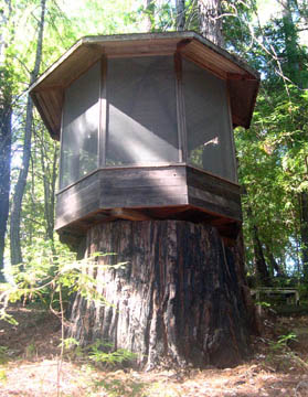 06gazebo2