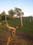 01throughtree